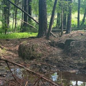 Photo #16 of Piney Mountain Rd, Appomattox, VA 22.7 acres