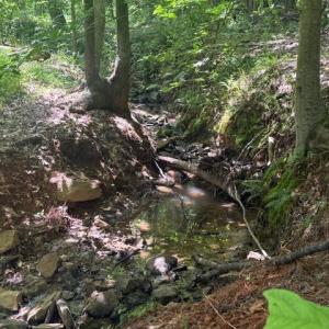 Photo #19 of Piney Mountain Rd, Appomattox, VA 22.7 acres