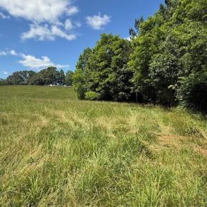 Photo #8 of Piney Mountain Rd, Appomattox, VA 22.7 acres