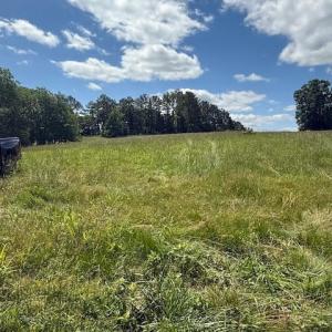 Photo #9 of Piney Mountain Rd, Appomattox, VA 22.7 acres