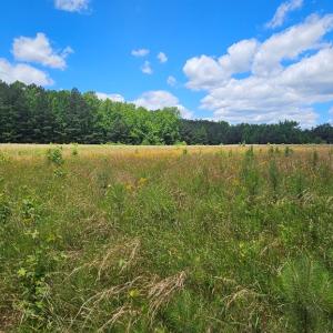 Photo #10 of 26.55 Acres Namozine Road, Amelia Court House, VA 26.6 acres
