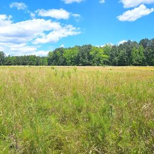 Photo #11 of 26.55 Acres Namozine Road, Amelia Court House, VA 26.6 acres