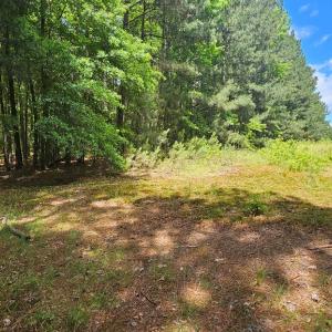 Photo #12 of 26.55 Acres Namozine Road, Amelia Court House, VA 26.6 acres