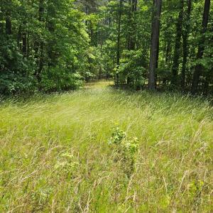 Photo #13 of 26.55 Acres Namozine Road, Amelia Court House, VA 26.6 acres