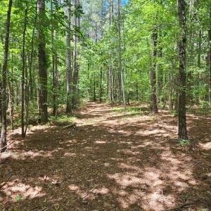 Photo #14 of 26.55 Acres Namozine Road, Amelia Court House, VA 26.6 acres