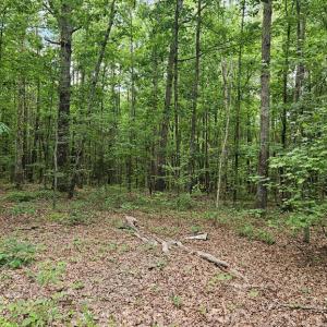 Photo #18 of 26.55 Acres Namozine Road, Amelia Court House, VA 26.6 acres