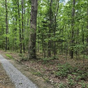 Photo #19 of 26.55 Acres Namozine Road, Amelia Court House, VA 26.6 acres