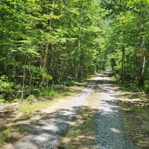 Photo #20 of 26.55 Acres Namozine Road, Amelia Court House, VA 26.6 acres