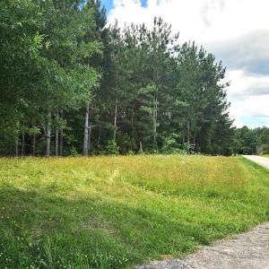 Photo #3 of 26.55 Acres Namozine Road, Amelia Court House, VA 26.6 acres