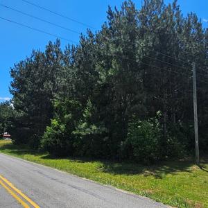 Photo #5 of 26.55 Acres Namozine Road, Amelia Court House, VA 26.6 acres