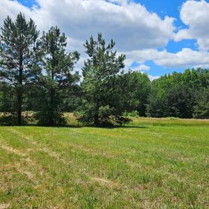 Photo #6 of 26.55 Acres Namozine Road, Amelia Court House, VA 26.6 acres