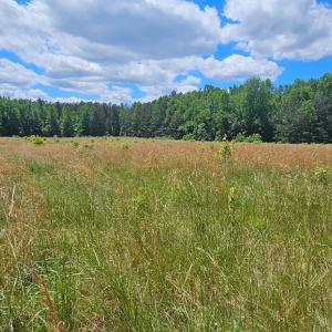 Photo #8 of 26.55 Acres Namozine Road, Amelia Court House, VA 26.6 acres