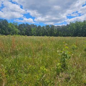 Photo #9 of 26.55 Acres Namozine Road, Amelia Court House, VA 26.6 acres