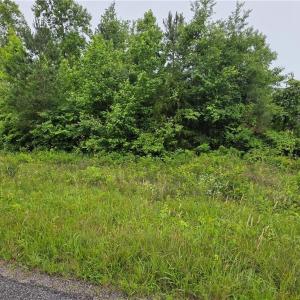 Photo #2 of TBD Plank Road, Lunenburg, VA 2.4 acres