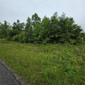 Photo #3 of TBD Plank Road, Lunenburg, VA 2.4 acres