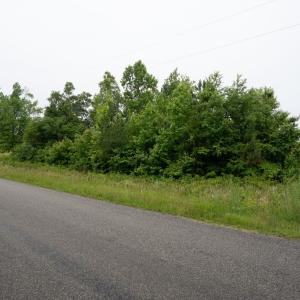Photo #5 of TBD Plank Road, Lunenburg, VA 2.4 acres