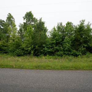 Photo #6 of TBD Plank Road, Lunenburg, VA 2.4 acres
