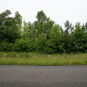Photo #7 of TBD Plank Road, Lunenburg, VA 2.4 acres
