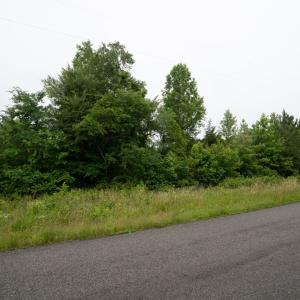 Photo #9 of TBD Plank Road, Lunenburg, VA 2.4 acres