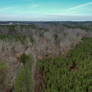 Photo #10 of Perkins Mill Rd, Dillwyn, VA 164.0 acres