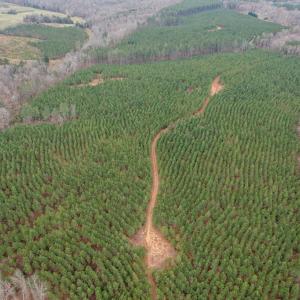 Photo #11 of Perkins Mill Rd, Dillwyn, VA 164.0 acres