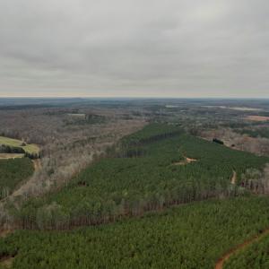 Photo #12 of Perkins Mill Rd, Dillwyn, VA 164.0 acres