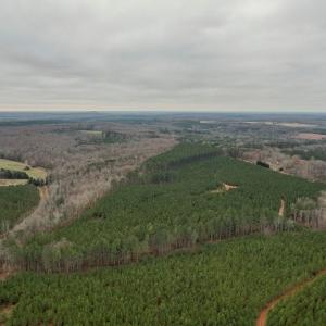 Photo #13 of Perkins Mill Rd, Dillwyn, VA 164.0 acres