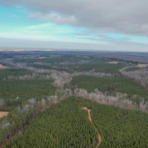 Photo #15 of Perkins Mill Rd, Dillwyn, VA 164.0 acres