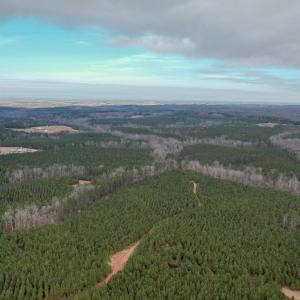 Photo #16 of Perkins Mill Rd, Dillwyn, VA 164.0 acres