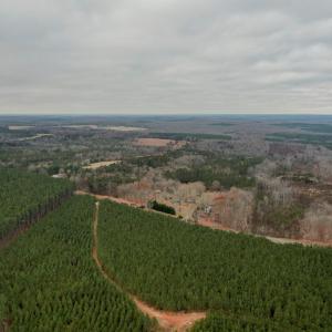 Photo #17 of Perkins Mill Rd, Dillwyn, VA 164.0 acres