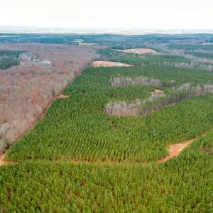 Photo #18 of Perkins Mill Rd, Dillwyn, VA 164.0 acres