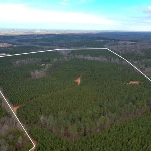Photo #2 of Perkins Mill Rd, Dillwyn, VA 164.0 acres