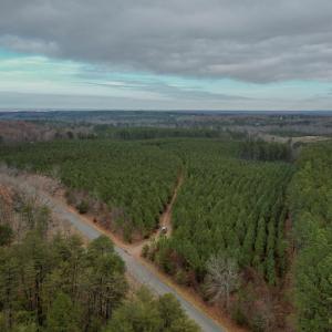 Photo #20 of Perkins Mill Rd, Dillwyn, VA 164.0 acres