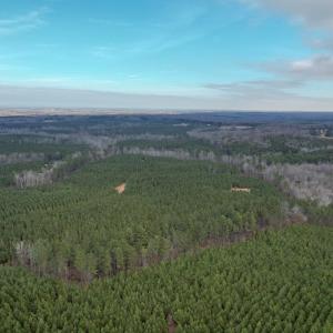 Photo #28 of Perkins Mill Rd, Dillwyn, VA 164.0 acres