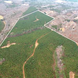 Photo #3 of Perkins Mill Rd, Dillwyn, VA 164.0 acres
