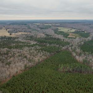 Photo #36 of Perkins Mill Rd, Dillwyn, VA 164.0 acres