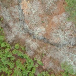 Photo #40 of Perkins Mill Rd, Dillwyn, VA 164.0 acres