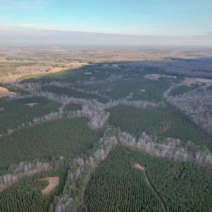Photo #49 of Perkins Mill Rd, Dillwyn, VA 164.0 acres