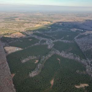 Photo #5 of Perkins Mill Rd, Dillwyn, VA 164.0 acres