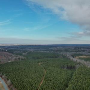 Photo #52 of Perkins Mill Rd, Dillwyn, VA 164.0 acres