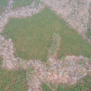 Photo #6 of Perkins Mill Rd, Dillwyn, VA 164.0 acres