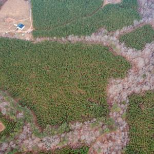 Photo #7 of Perkins Mill Rd, Dillwyn, VA 164.0 acres