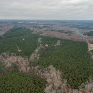 Photo #8 of Perkins Mill Rd, Dillwyn, VA 164.0 acres