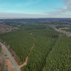 Photo #53 of Perkins Mill Rd, Dillwyn, VA 164.0 acres