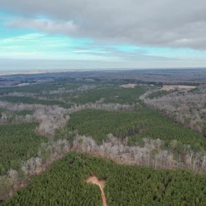 Photo #16 of Perkins Mill Rd, Dillwyn, VA 164.0 acres