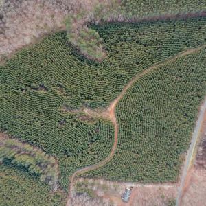 Photo #2 of Perkins Mill Rd, Dillwyn, VA 164.0 acres