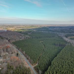 Photo #23 of Perkins Mill Rd, Dillwyn, VA 164.0 acres