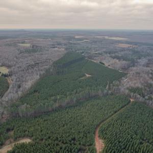 Photo #24 of Perkins Mill Rd, Dillwyn, VA 164.0 acres