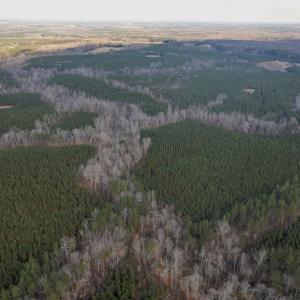 Photo #25 of Perkins Mill Rd, Dillwyn, VA 164.0 acres