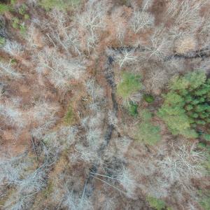 Photo #27 of Perkins Mill Rd, Dillwyn, VA 164.0 acres